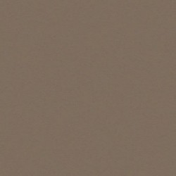 Cette image montre la couleur de la coque