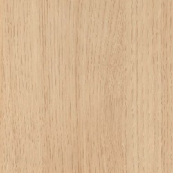 Cette image montre la couleur de la coque