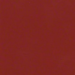 Cette image montre la couleur du corps