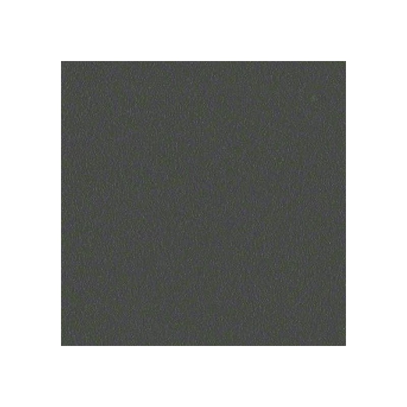 Cette image montre la couleur du corps Cette image montre la couleur du corps